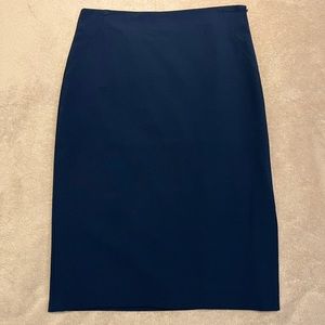 Ann Taylor navy pencil skirt.